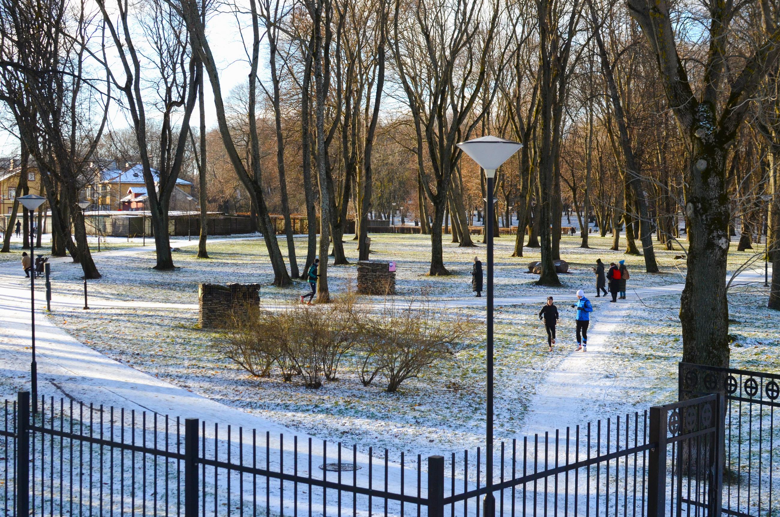 Estonians in their natural habitats: adults jogging, kids playing in the snow