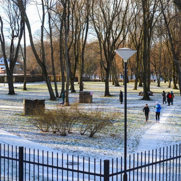 Estonians in their natural habitats: adults jogging, kids playing in the snow